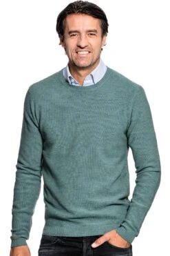 Joe Bee Cloud Forest