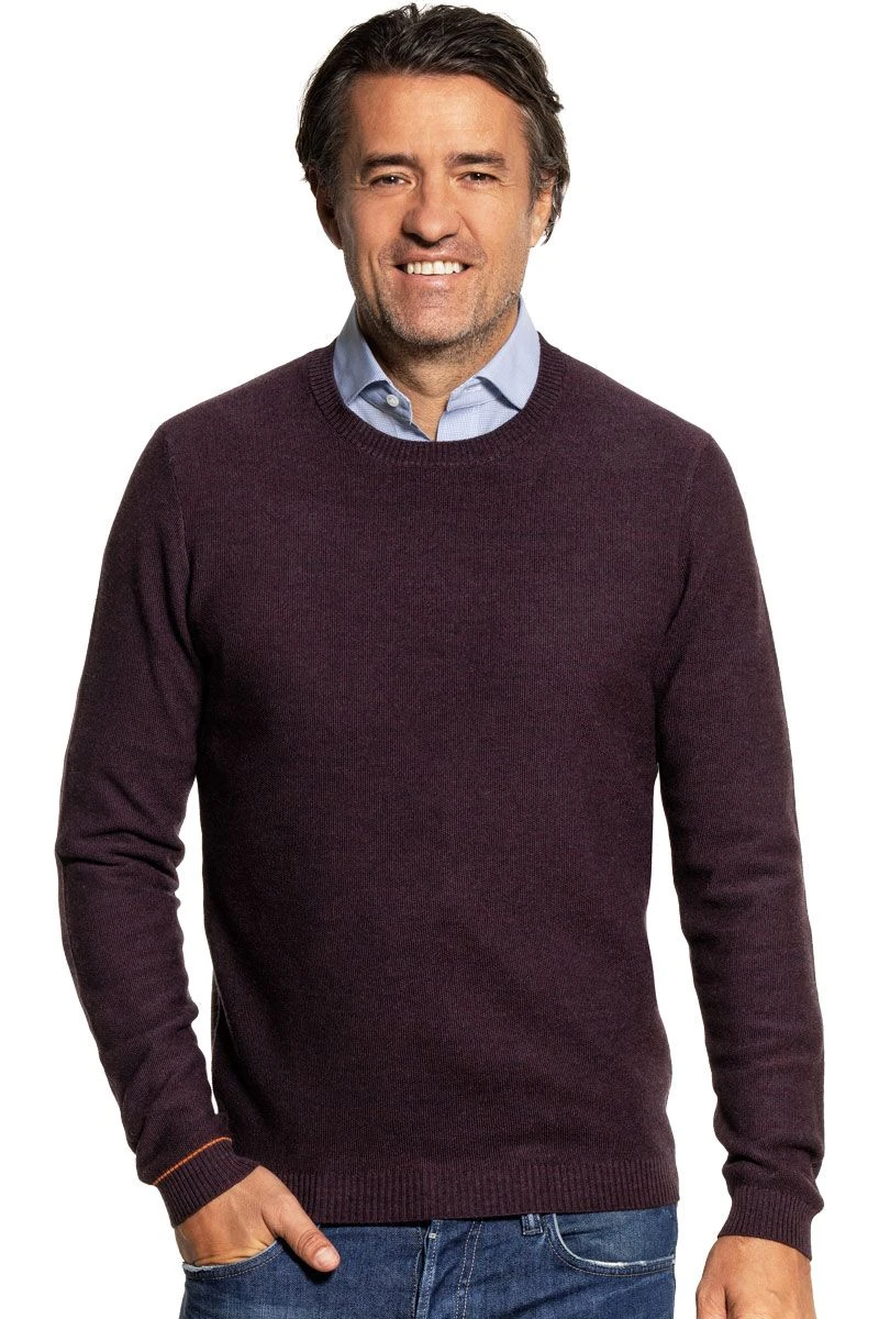 Joe Bee Queen Of The Night 1 Joe Bee Queen Of The Night