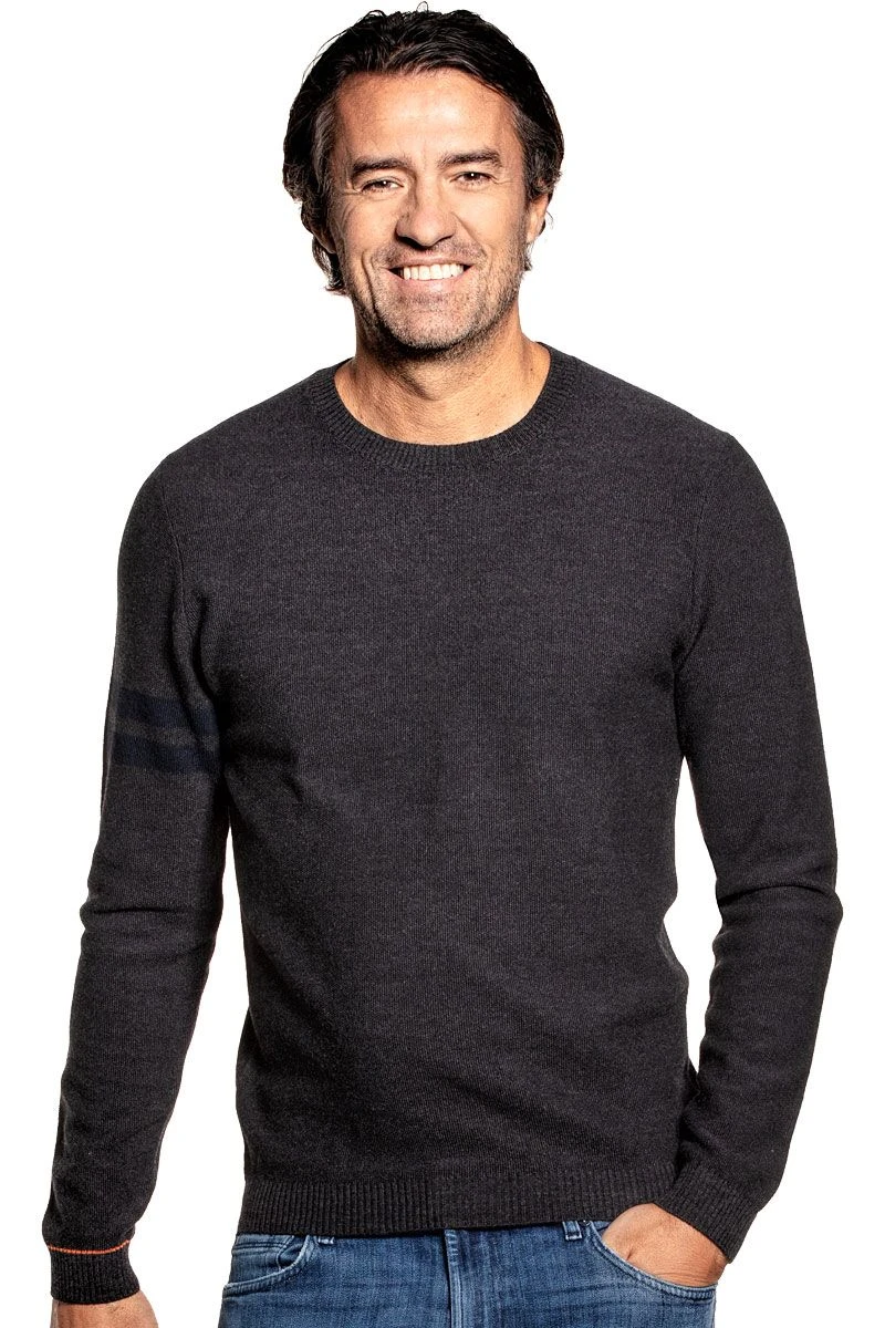 Bee Striped Sleeve Antracite Grey 2 Bee Striped Sleeve Antracite Grey - Afbeelding 2