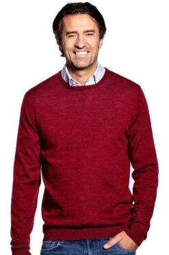 Joe Classic Crew Burgundy Red