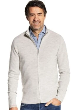 Joe Ribzip Dover Grey