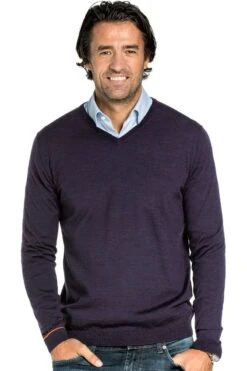 Joe V-Neck Purple Lord