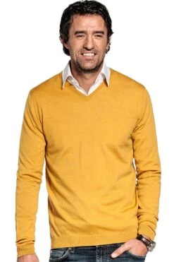 Joe V-Neck Yellow Curry