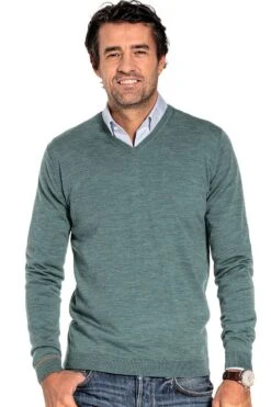 Joe V-neck Cloud Forest