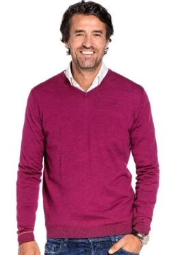 Joe V-Neck Juicy Raspberry