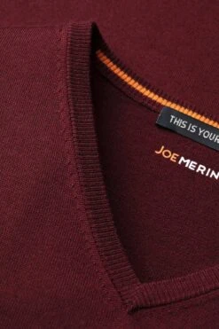 Joe V-neck Extra Long Barolo 8 Joe V-neck Extra Long Barolo -Kleding Winkel v neck barolo detail03 1