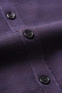 Joe Vest Purple Lord -Kleding Winkel vest purple lord knopen web